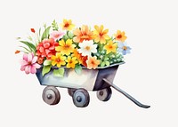 Wheelbarrow flower vehicle plant. 