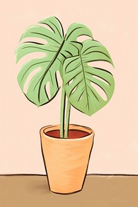 Plant houseplant leaf flowerpot. 