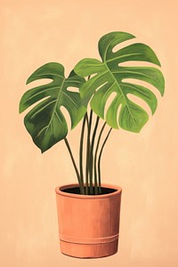 Plant houseplant leaf freshness. 