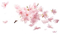 Petal blossom flower plant. AI generated Image by rawpixel.