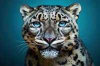 Leopard wildlife animal mammal. AI generated Image by rawpixel.