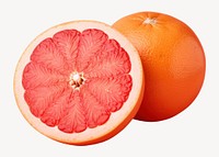 Grapefruit plant food antioxidant. 