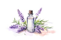 Lavender aroma oil bottle. 