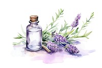 Lavender aroma oil bottle. 