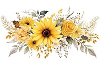 Sunflower pattern plant white background. AI generated Image by rawpixel.