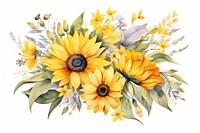 Sunflower pattern plant white background. 