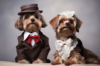 Dog pet accessory clothing. AI generated Image by rawpixel.