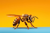 Bee animal insect hornet. AI generated Image by rawpixel.