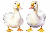Duck animal yellow goose. AI generated Image by rawpixel.