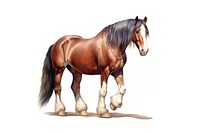 Horse stallion mammal animal. AI generated Image by rawpixel.