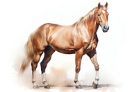 Horse stallion standing animal. AI generated Image by rawpixel.