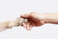 Hand mammal animal finger. AI generated Image by rawpixel.