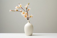 Flower vase plant white. 