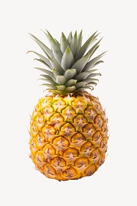 Pineapple fruit plant food. 