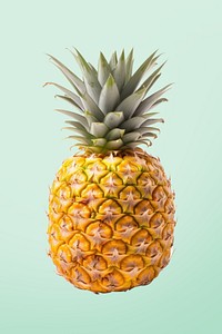 Pineapple fruit plant food. 