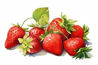 Strawberry berries fruit plant. 