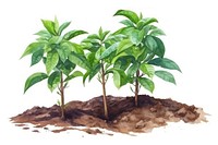 Plant leaf soil tree. AI generated Image by rawpixel.