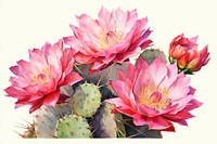 Flower cactus plant rose. AI generated Image by rawpixel.