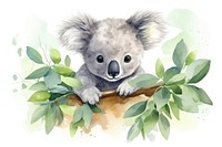 Koala mammal animal plant. 