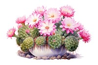 Cactus flower plant inflorescence. AI generated Image by rawpixel.