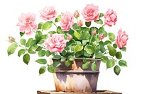 Flower rose plant petal. AI generated Image by rawpixel.