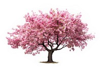 Blossom flower tree plant. AI generated Image by rawpixel.