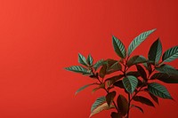 Plant leaf cannabis blossom. AI generated Image by rawpixel.