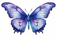 Butterfly animal insect invertebrate. AI generated Image by rawpixel.