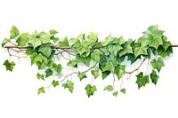 Ivy plant leaf vine. AI generated Image by rawpixel.