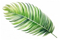 Leaf plant palm leaf freshness. AI generated Image by rawpixel.