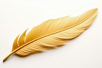 Feather gold leaf white background. AI generated Image by rawpixel.