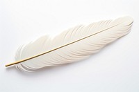 Feather white white background lightweight. 