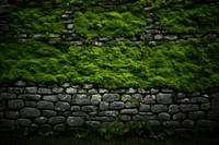 Moss wall backgrounds plant. AI generated Image by rawpixel.