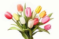 Flower tulip plant white background. AI generated Image by rawpixel.