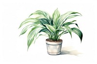 Plant leaf houseplant flowerpot. 