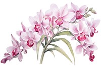 Orchid blossom flower plant. AI generated Image by rawpixel.