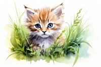 Kitten grass mammal animal. AI generated Image by rawpixel.