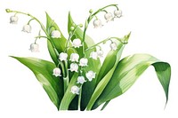 Flower plant white leaf. AI generated Image by rawpixel.