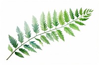 Plant herbs leaf fern. AI generated Image by rawpixel.