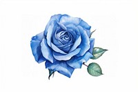 Rose flower plant blue. AI generated Image by rawpixel.