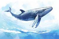 Whale animal mammal fish, digital paint illustration. AI generated image