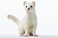 Mammal animal rodent weasel. AI generated Image by rawpixel.