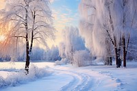 Landscape snow panoramic outdoors. 