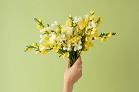 Flower petal plant hand. AI generated Image by rawpixel.