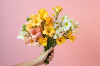 Flower petal plant hand. 