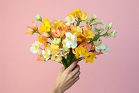 Flower petal plant hand. AI generated Image by rawpixel.