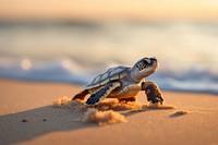 Animal outdoors reptile nature. AI generated Image by rawpixel.