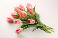 Flower tulip petal plant. AI generated Image by rawpixel.