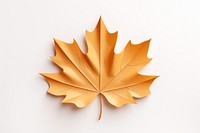 Leaf maple plant tree. 