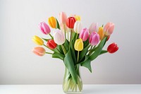 Tulip flower plant vase. 